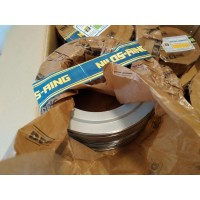 Nilos-Ring JV系列密封圈6212 JV