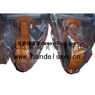 北京德诺伊Wouter Witzel 北京德诺伊Wouter Witzel
