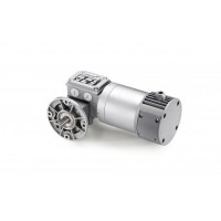 意大利 Mini Motor 齿轮电机 PAE