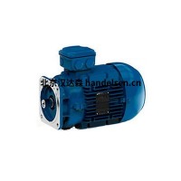 德国进口WATT DRIVE斜齿轮减速机MMBC020-195-20D