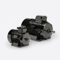 意大利 Bonfiglioli 异步电动机BN 200L|30