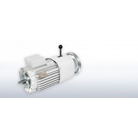 VEM进口电机全系列优势进口