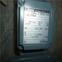 Bauer电机BG10-11/D08LA4-TF-K优势供应