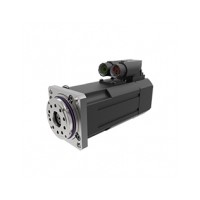 斯洛伐克SPINEADS 110执行器