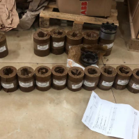 KTR ROTEX GS无齿隙弹性联轴器 德国制造