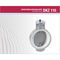 Warex Valve中间法兰翻板 DKZ 110蝶阀