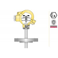 aplisens CT T1 法兰工艺连接温度计类型润湿件材料304ss