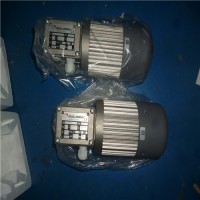 Minimotor BC2000 24V 250W 电机 —— 北京汉达森经销的高效、可靠动力解决方案