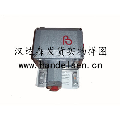 Beta 荷兰Beta LaserMike原厂直供压力开关等